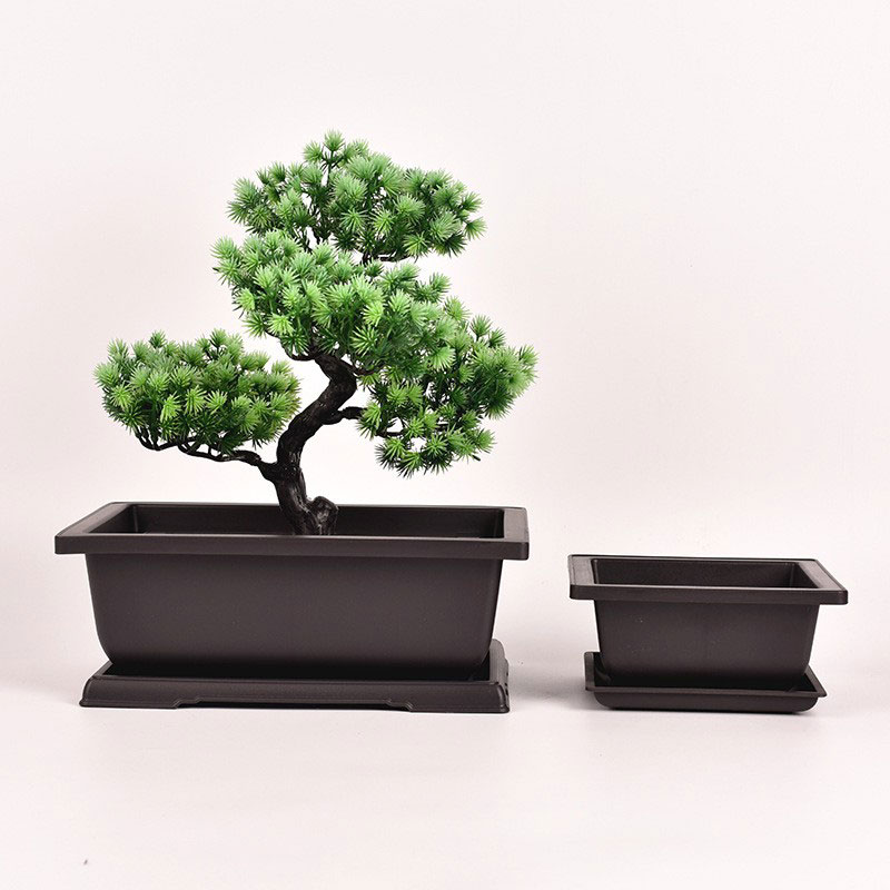 Téglalap alakú Bonsai Pot